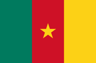 The flag of Republic of Cameroon