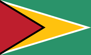 The flag of Co-operative Republic of Guyana