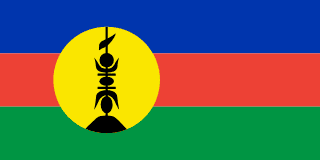 The flag of New Caledonia