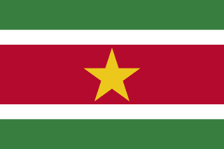 The flag of Republic of Suriname